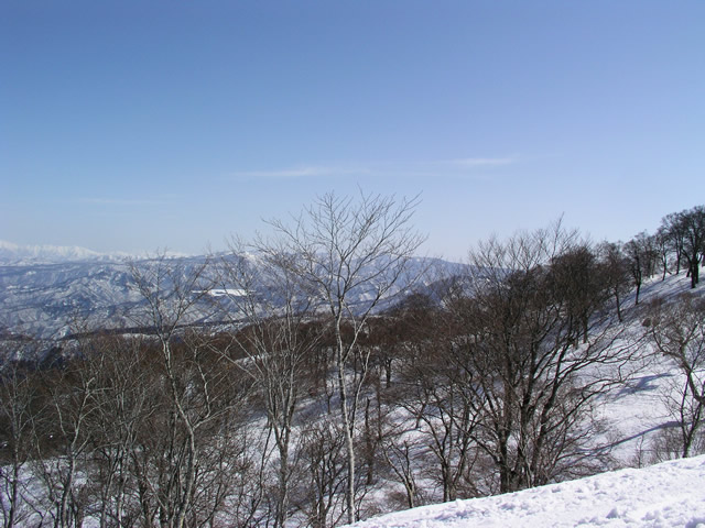 冬山の風景 長野県