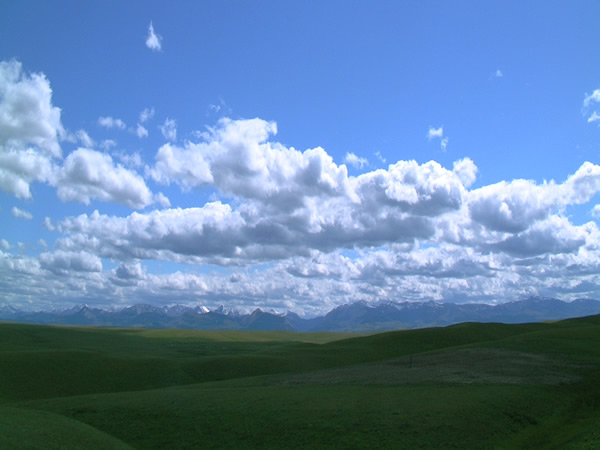 大草原と青空 大空の州モンタナ
