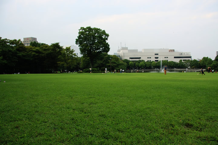 多摩中央公園の芝生