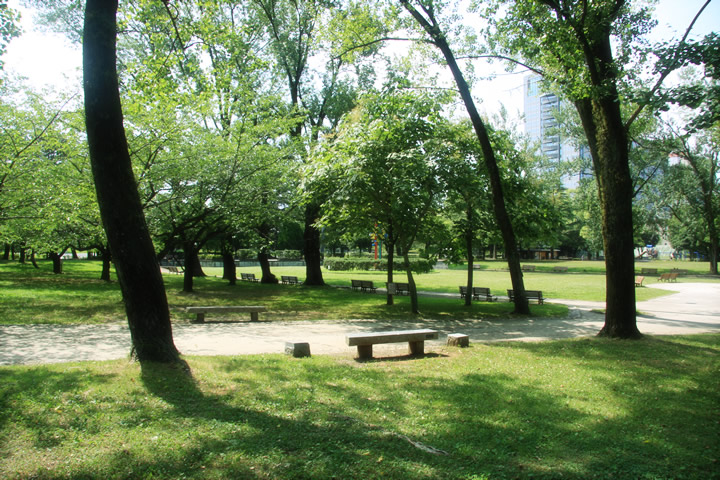 昼下がりの公園（駿府公園）のフリー写真素材・無料画像