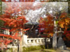 秋の素材・紅葉のフリー写真素材・無料画像003