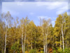 秋の素材・紅葉のフリー写真素材・無料画像004