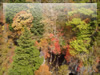 秋の素材・紅葉のフリー写真素材・無料画像006