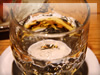 沖縄グラスと泡盛　バー・居酒屋のフリー写真素材・無料画像