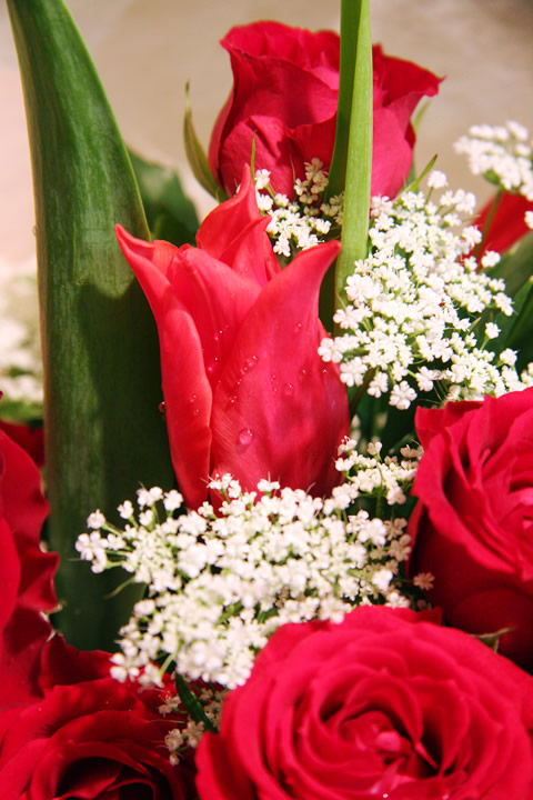 紅白の花束