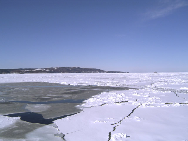 流氷（オホーツク海）のフリー写真素材・無料画像