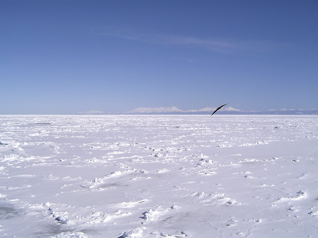 白銀の世界　流氷（北海道）のフリー写真素材・無料画像