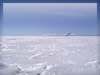 白銀の世界　流氷（北海道）の無料写真素材