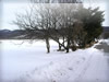 冬・雪の田舎道の無料写真素材