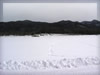 雪景色と足跡のフリー写真素材・無料画像