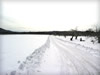 雪景色　冬の道のフリー写真素材
