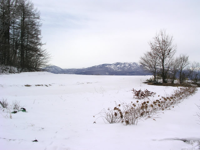 冬景色　白根山