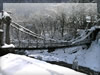 吊り橋と雪景色　冬・雪景色のフリー写真素材・無料画像048