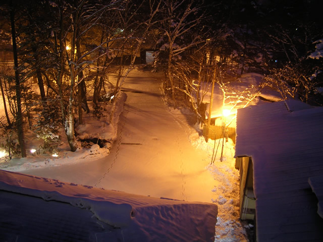 雪景色 夜景 ライトアップされた雪の庭