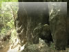 岩のフリー写真　巨大な落石（大山）