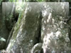 落石・岩の無料写真素材　大山の巨大な岩