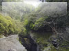 kJi{茧j