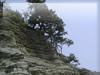 崖・岩・岩山・渓谷のフリー写真素材・無料画像035