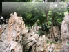 崖・岩・岩山・渓谷のフリー写真素材・無料画像047