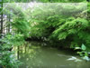 湖・池・沼・湿原のフリー写真素材・無料画像028