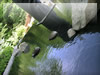 湖・池・沼・湿原のフリー写真素材・無料画像030
