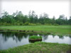 湖・池・沼・湿原のフリー写真素材・無料画像034