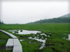 湖・池・沼・湿原のフリー写真素材・無料画像035
