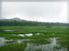 湖・池・沼・湿原のフリー写真素材・無料画像036