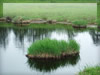 湖・池・沼・湿原のフリー写真素材・無料画像038