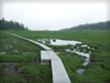 湖・池・沼・湿原のフリー写真素材・無料画像039