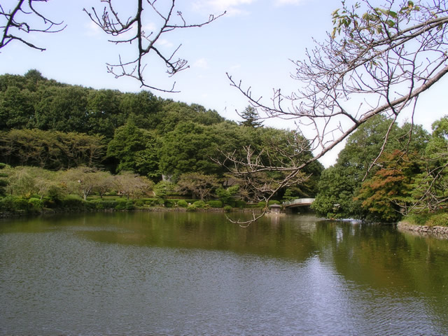 ΁ErEẼt[ʐ^fށE摜no.042