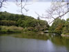 湖・池・沼・湿原のフリー写真素材・無料画像042