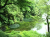 湖・池・沼・湿原のフリー写真素材・無料画像057