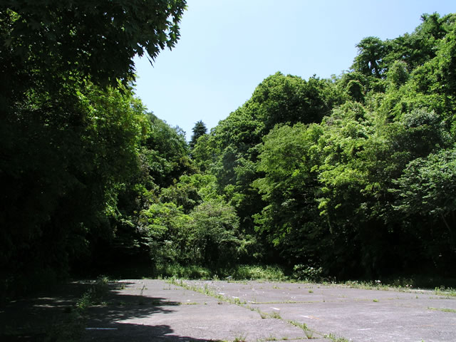 森の駐車場 廃墟