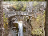 森の中の石橋と滝（マウント・レイニエ国立公園）