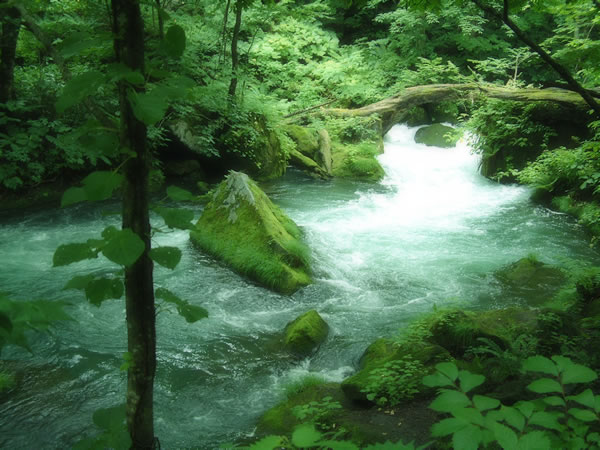 白銀の流れ 川 滝 水路のフリー写真素材 無料画像018