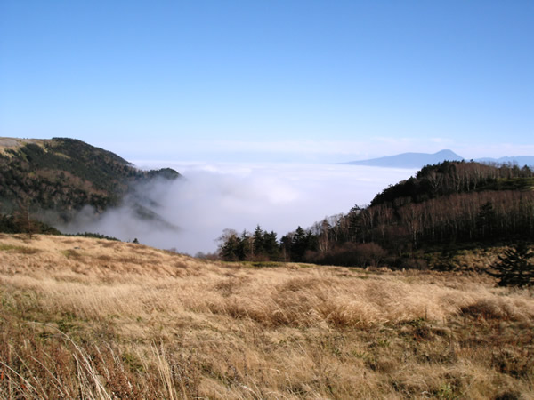 高原から見下ろす雲海