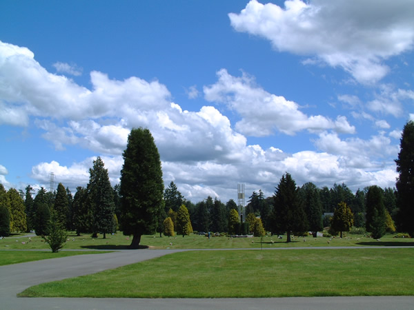 公園と青い空