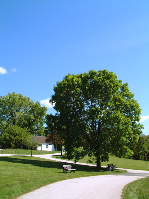 weCWEqBiHeritage Hills State Parkj̃t[ʐ^fށE摜