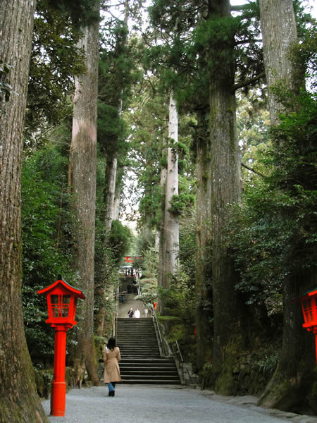 箱根神社　杉並木と階段