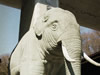 多摩動物園　象の像