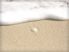  古宇利島の砂浜と貝殻のフリー写真素材