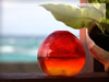  赤い琉球ガラスと11月の青い海の無料画像