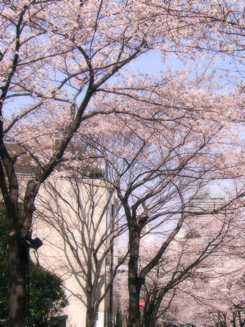tEEԌ̃t[ʐ^fށE摜054