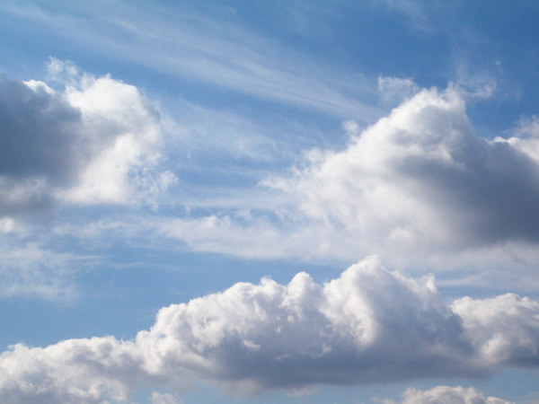 東京 上野公園 の夏空 空 雲の無料写真素材