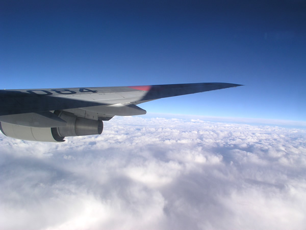 青空と翼と雲海 空 航空写真の無料画像