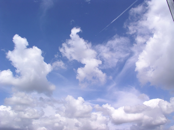 真夏の空と飛行機雲の無料画像