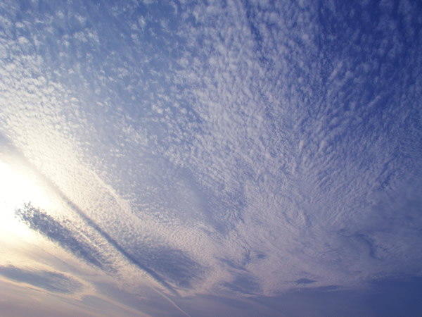 ER_ƌQ̋̃t[ʐ^fށ@摜
