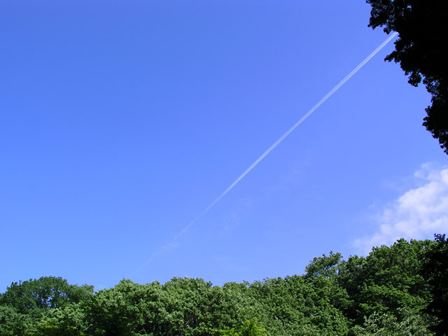 青天の飛行機雲