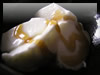 デザート　蜂蜜ヨーグルトの無料写真素材